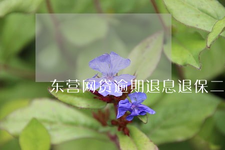东营网贷逾期退息退保二次分期 东营网贷逾期退息退保二次分期