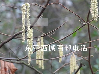 东营西城百邦电话 东营西城百邦电话