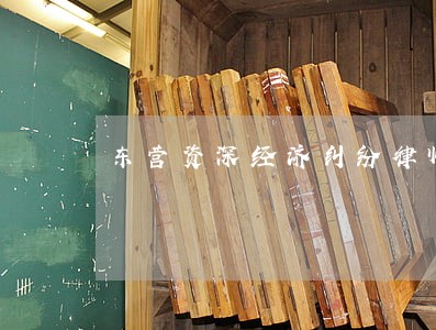 东营资深经济纠纷律师 东营资深经济纠纷律师