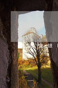 东营银行信用卡逾期多久上征信
