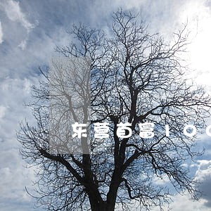 东营首富100名 东营首富100名