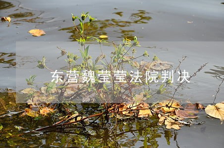 东营魏莹莹法院判决