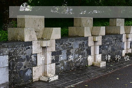 东西湖区出名再审律师收费 东西湖区出名再审律师收费