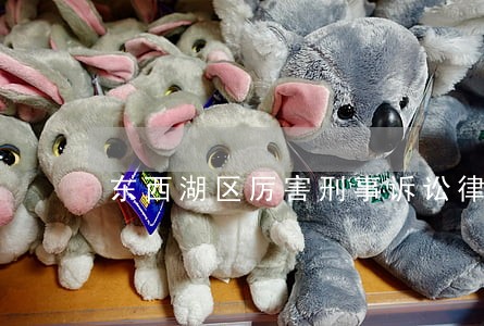 东西湖区厉害刑事诉讼律师排名 东西湖区厉害刑事诉讼律师排名