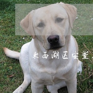 东西湖区安置房买卖合同纠纷律师 东西湖区安置房买卖合同纠纷律师