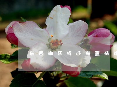 东西湖区拆迁安置法律咨询热线 东西湖区拆迁安置法律咨询热线