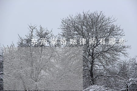 东西湖婚姻律师有哪些 东西湖婚姻律师有哪些