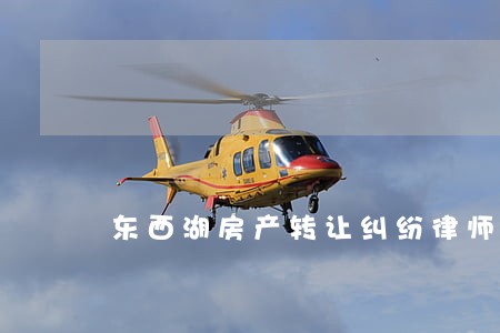 东西湖房产转让纠纷律师免费咨询