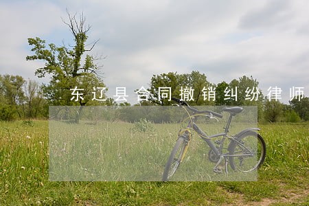 东辽县合同撤销纠纷律师 东辽县合同撤销纠纷律师