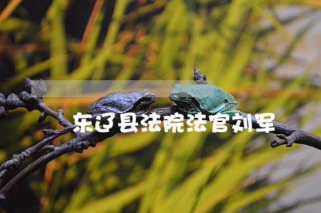东辽县法院法官刘军