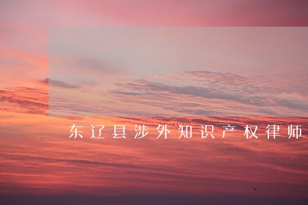 东辽县涉外知识产权律师