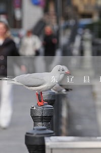 东辽县理财合同纠纷处理律师 东辽县理财合同纠纷处理律师
