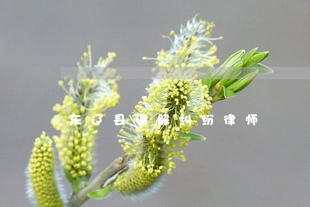 东辽县调解纠纷律师 东辽县调解纠纷律师