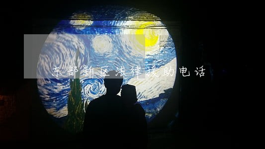 东部新区法律援助电话 东部新区法律援助电话
