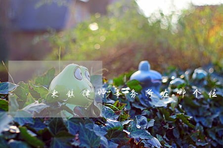 东镇律师事务所在哪个位置 东镇律师事务所在哪个位置