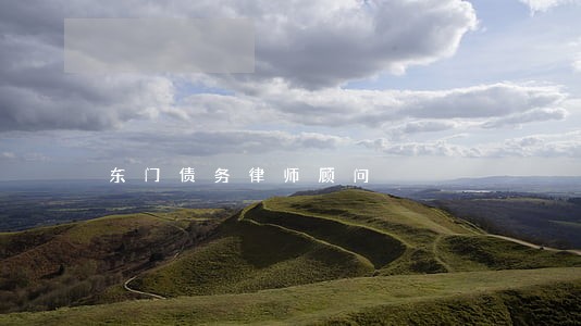 东门债务律师顾问 东门债务律师顾问