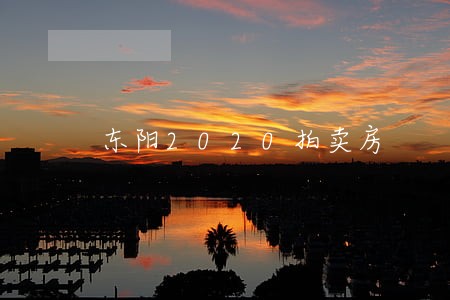 东阳2020拍卖房 东阳2020拍卖房