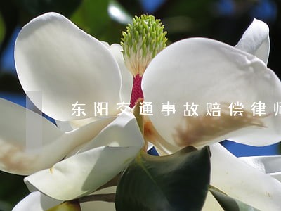 东阳交通事故赔偿律师法律咨询 东阳交通事故赔偿律师法律咨询