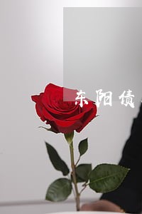 东阳债务合同律师多少钱