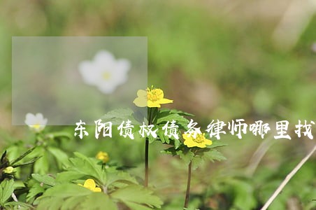 东阳债权债务律师哪里找 东阳债权债务律师哪里找