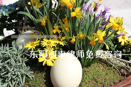 东阳刑事律师免费咨询 东阳刑事律师免费咨询