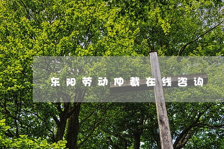 东阳劳动仲裁在线咨询 东阳劳动仲裁在线咨询