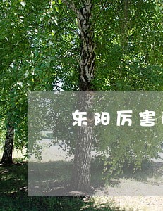 东阳厉害的解除购房合同律师 东阳厉害的解除购房合同律师