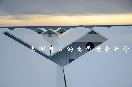 东阳可靠的离婚债务纠纷律师 东阳可靠的离婚债务纠纷律师