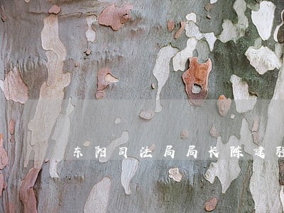 东阳司法局局长陈建强 东阳司法局局长陈建强