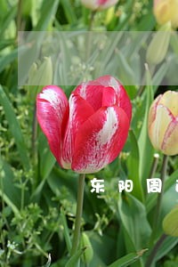 东阳周边刑事取保候审律师电话 东阳周边刑事取保候审律师电话