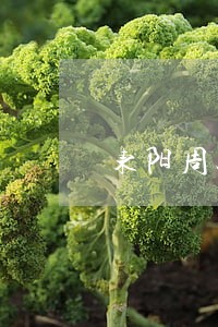 东阳周边办妨害公务罪律师 东阳周边办妨害公务罪律师