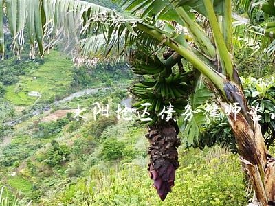 东阳地区债务律师咨询网站 东阳地区债务律师咨询网站