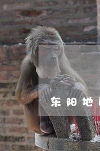 东阳地区口碑好的房产合同律师 东阳地区口碑好的房产合同律师