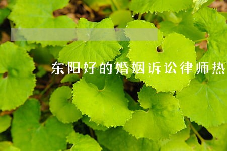 东阳好的婚姻诉讼律师热线 东阳好的婚姻诉讼律师热线