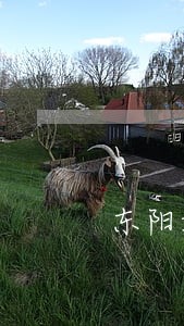 东阳好的离婚案子律师价格
