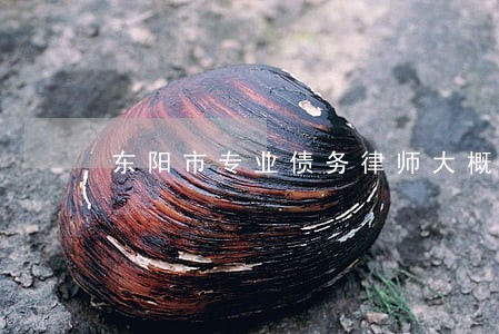 东阳市专业债务律师大概多少钱 东阳市专业债务律师大概多少钱