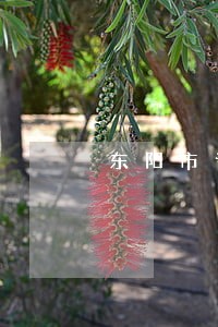 东阳市专业债务律师委托收费