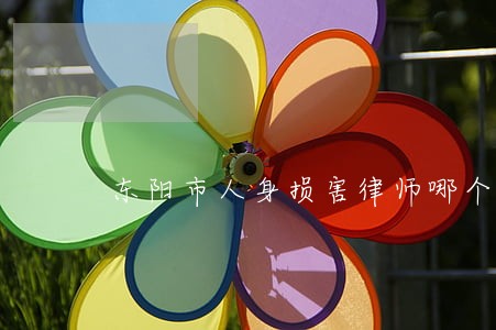 东阳市人身损害律师哪个好