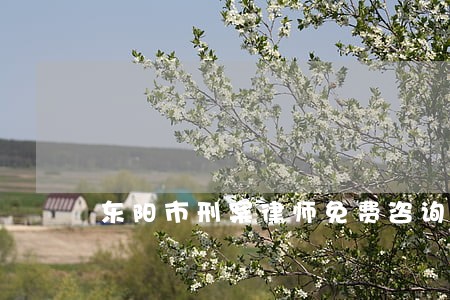 东阳市刑案律师免费咨询 东阳市刑案律师免费咨询