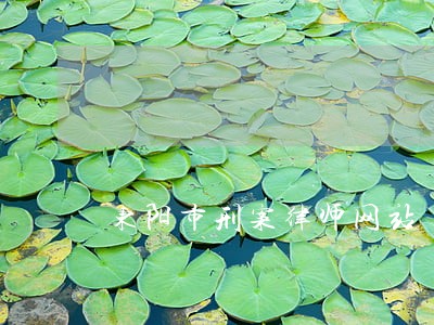 东阳市刑案律师网站 东阳市刑案律师网站