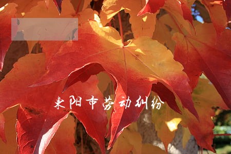东阳市劳动纠纷 东阳市劳动纠纷