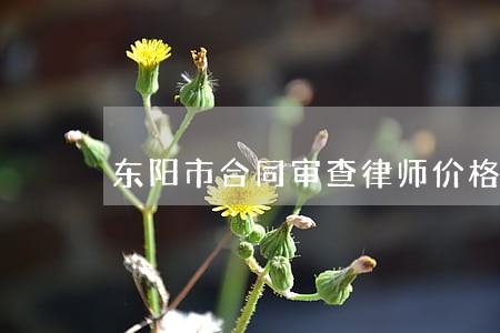 东阳市合同审查律师价格 东阳市合同审查律师价格