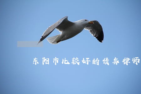 东阳市比较好的债务律师代理费 东阳市比较好的债务律师代理费