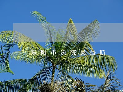 东阳市法院吴益航 东阳市法院吴益航