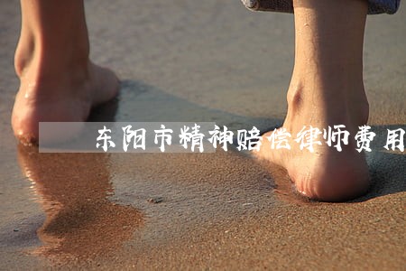 东阳市精神赔偿律师费用 东阳市精神赔偿律师费用