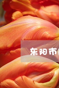 东阳市能力强的保释律师 东阳市能力强的保释律师