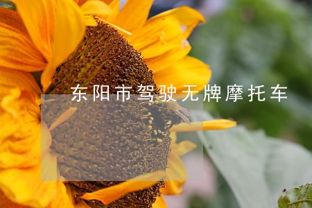 东阳市驾驶无牌摩托车