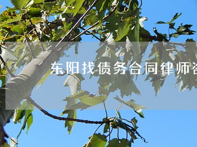东阳找债务合同律师咨询网站 东阳找债务合同律师咨询网站
