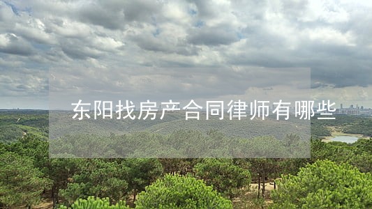 东阳找房产合同律师有哪些 东阳找房产合同律师有哪些