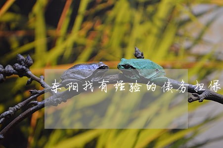 东阳找有经验的债务担保律师 东阳找有经验的债务担保律师